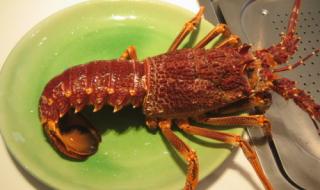 大龙虾家常做法简单好吃 澳洲龙虾的做法